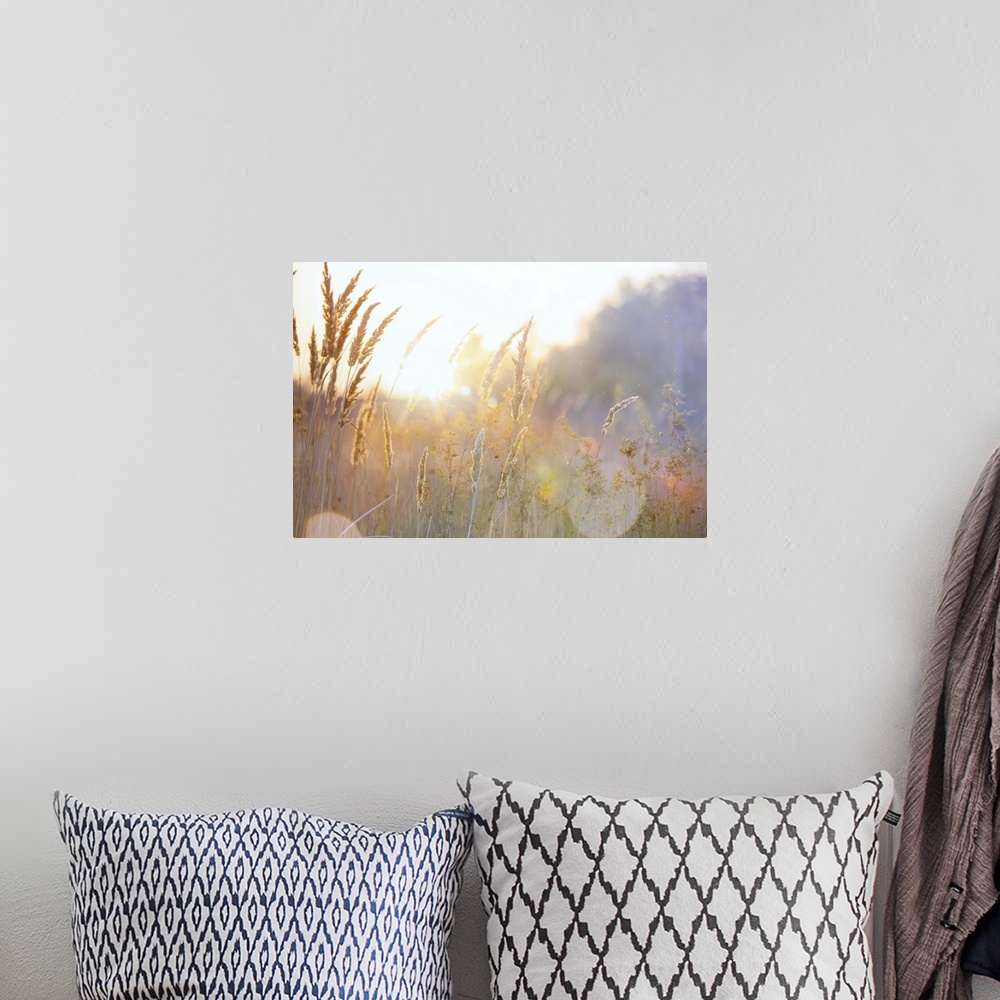 A bohemian room featuring Painting of a sunny landscape in autumn.