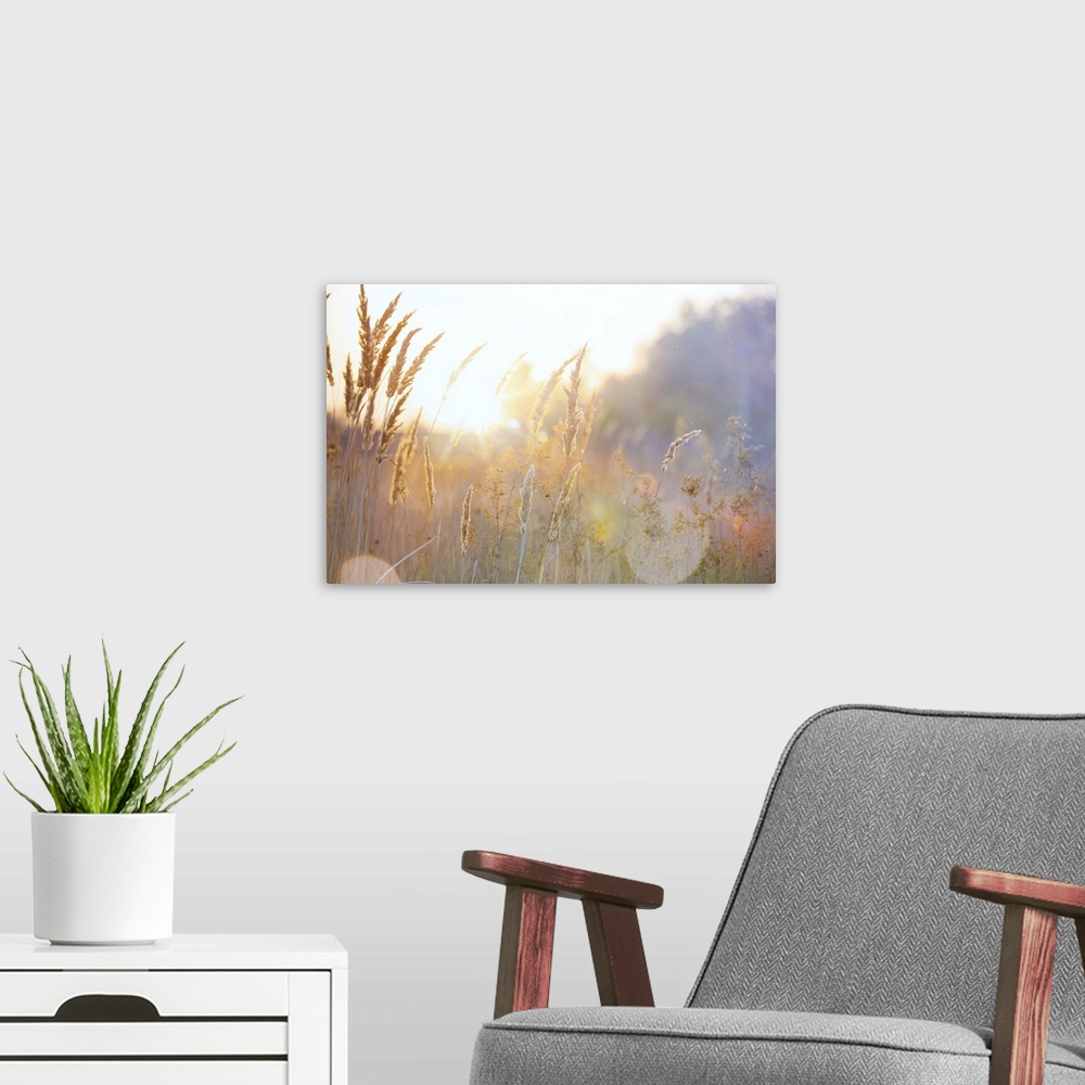 A modern room featuring Painting of a sunny landscape in autumn.