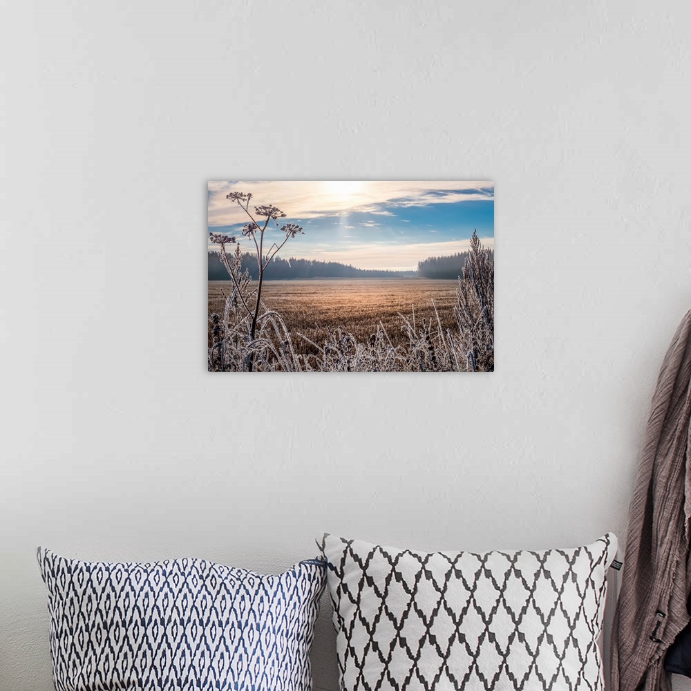 A bohemian room featuring Scenic and bright landscape with sunrise on a frosty autumn morning.