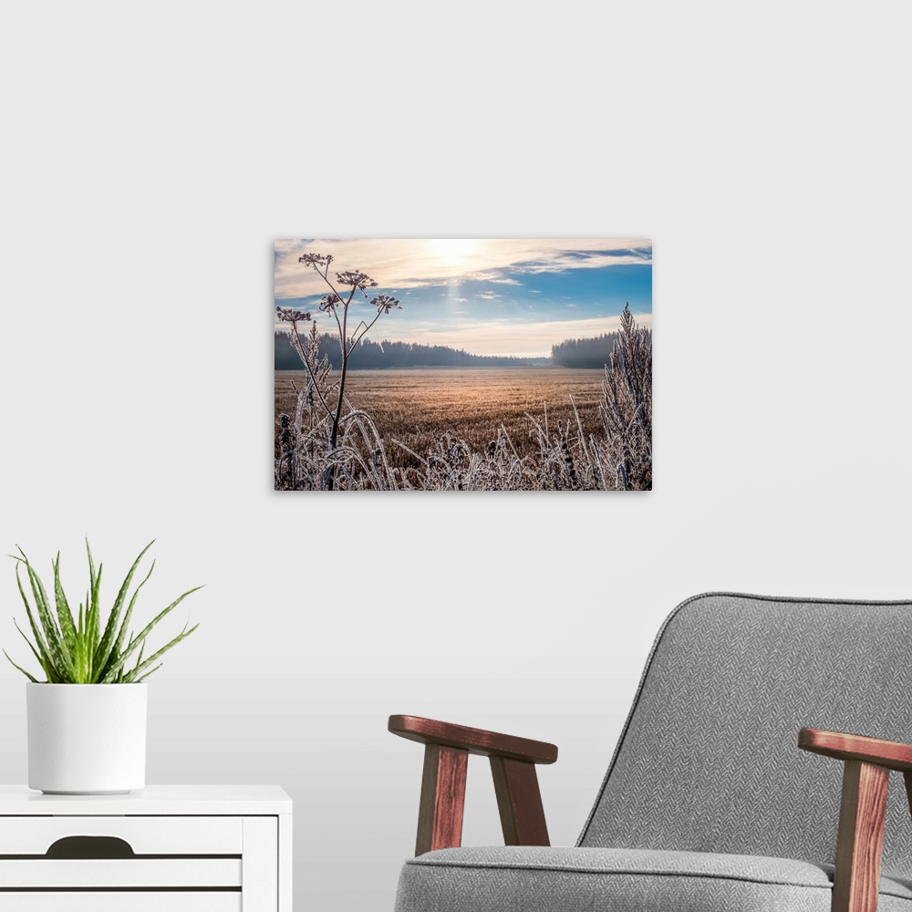 A modern room featuring Scenic and bright landscape with sunrise on a frosty autumn morning.