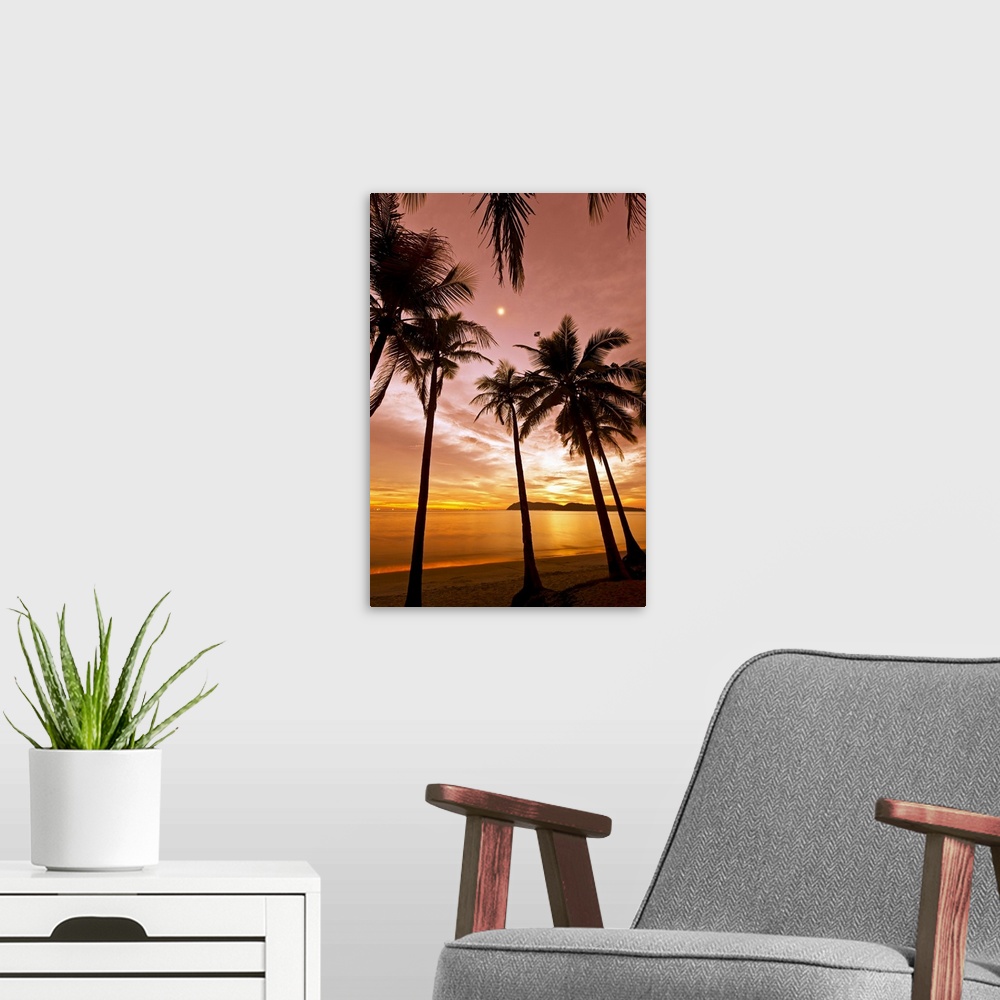 A modern room featuring The silhouetted of palm trees on a beach arch into the sky at sunset reaching towards the moon wh...