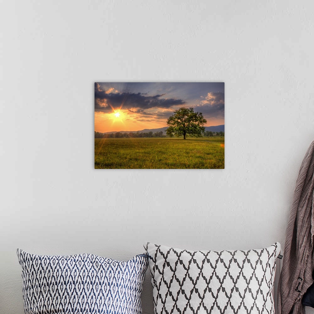 A bohemian room featuring Oversized, landscape photograph of a bright sunset over a vast field, with a single tree in the f...