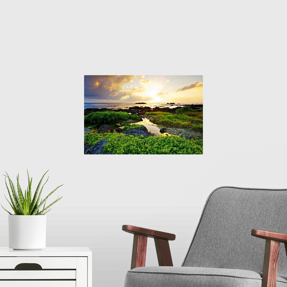 A modern room featuring A seascape shot of Wanlitong coral reefs where some green vegetation grow abundantly against the ...
