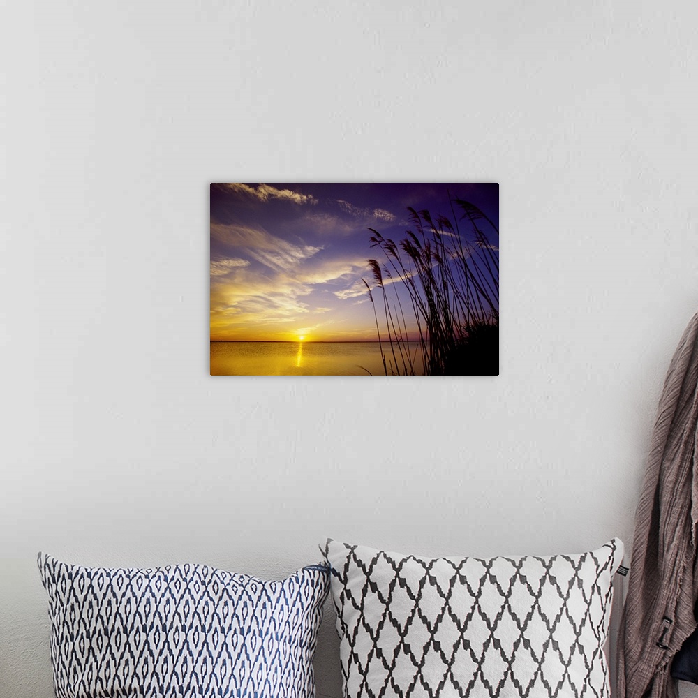 A bohemian room featuring A view of the Barnegat Bay and sea oats during sunset from the Island Beach State Park in Seaside...