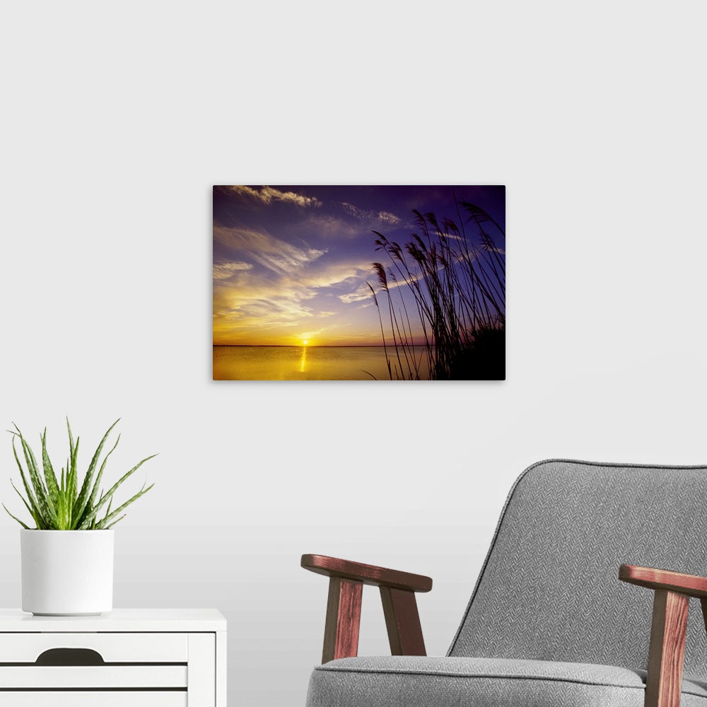 A modern room featuring A view of the Barnegat Bay and sea oats during sunset from the Island Beach State Park in Seaside...