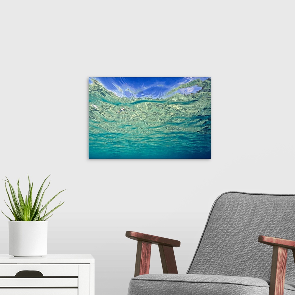 A modern room featuring Wall docor of the view of the top of the ocean from underneath the water.