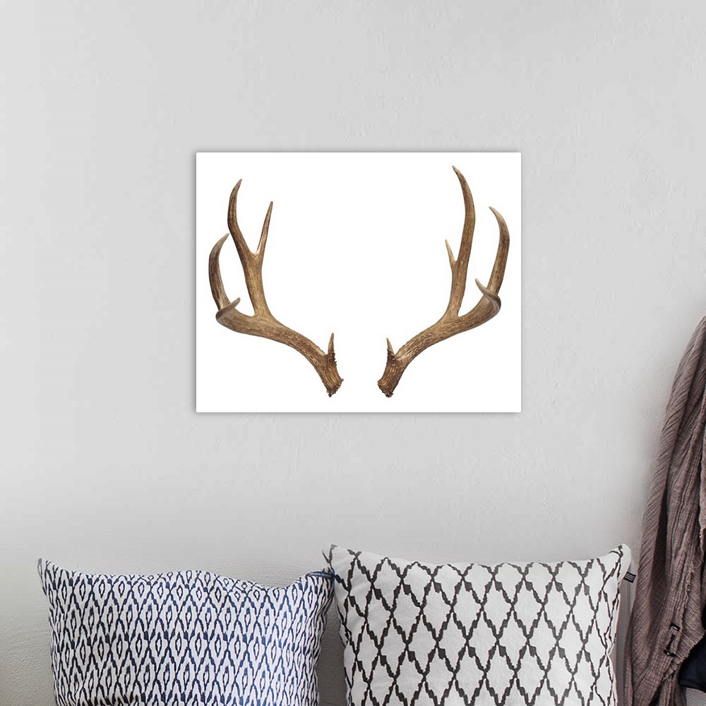 A bohemian room featuring Ten-point deer antlers