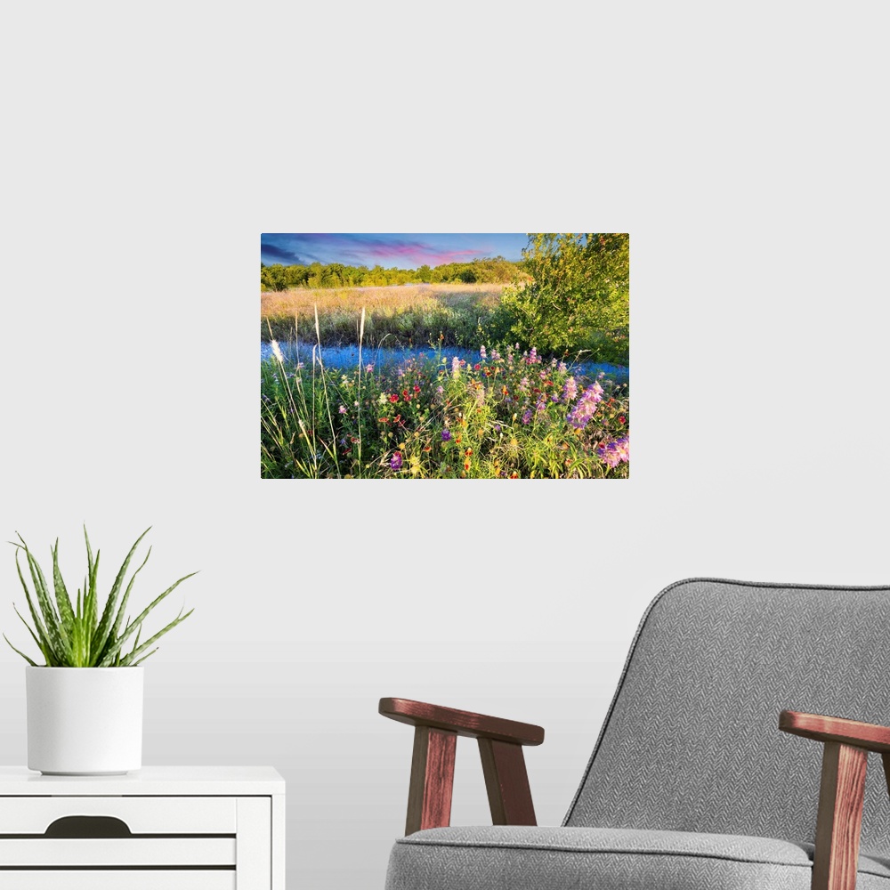 A modern room featuring Colorful Texas wildflowers in early dawn light after severe spring flooding,
