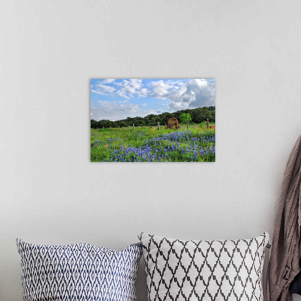 A bohemian room featuring View of Texas wildflowers in Burnet, Texas.