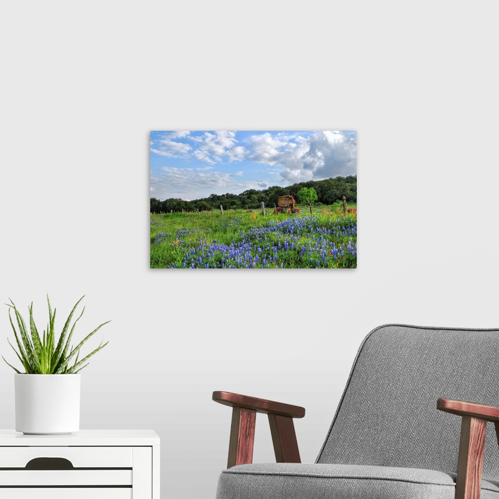 A modern room featuring View of Texas wildflowers in Burnet, Texas.