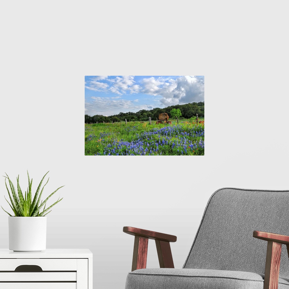 A modern room featuring View of Texas wildflowers in Burnet, Texas.