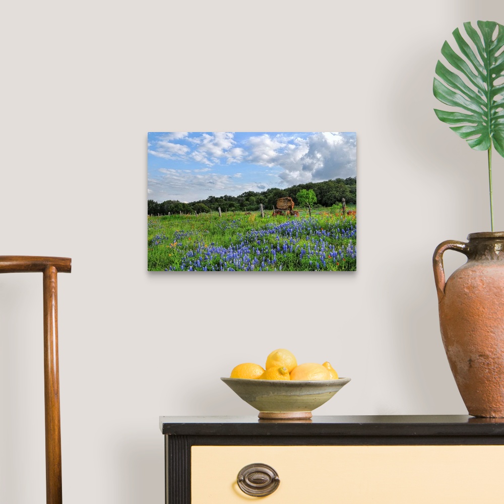A traditional room featuring View of Texas wildflowers in Burnet, Texas.