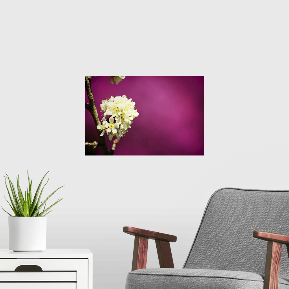 A modern room featuring Large wall docor of tropical flowers on a tree against a bright colored background.