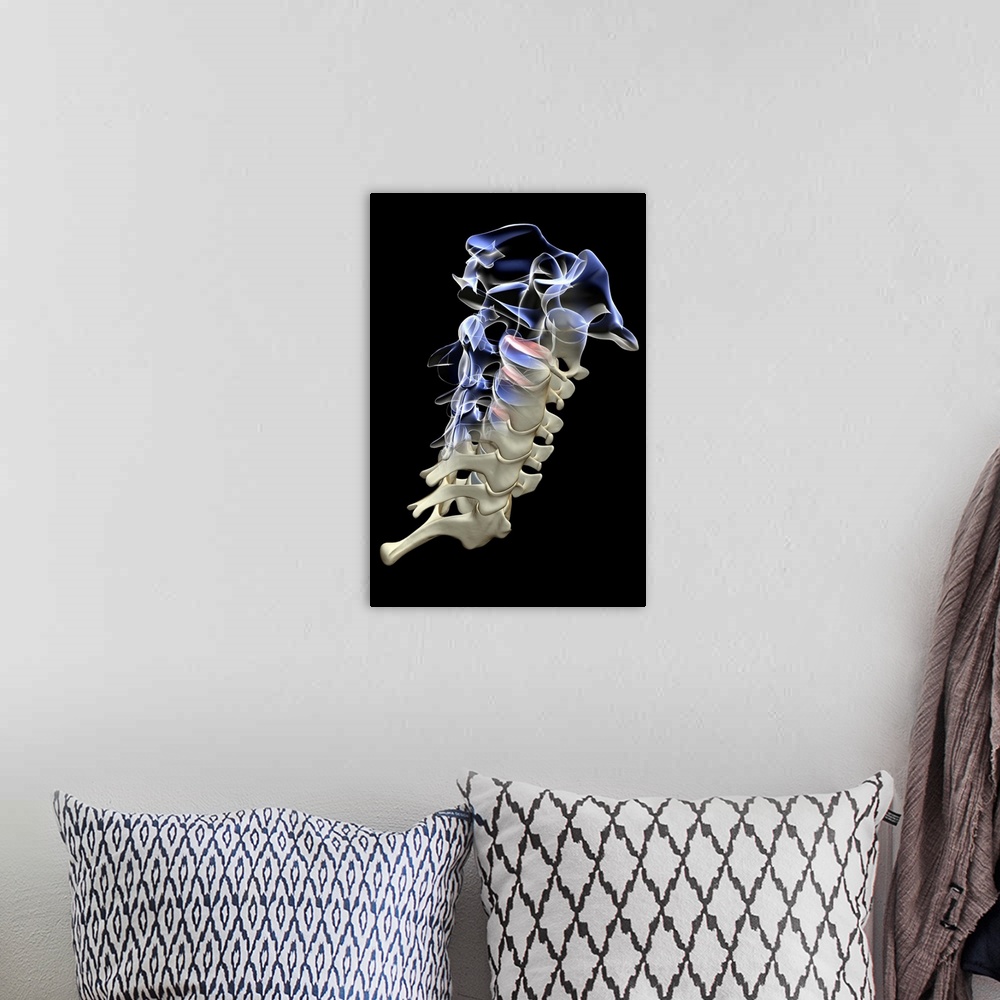 A bohemian room featuring The cervical vertebrae