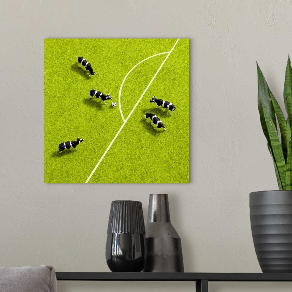A modern room featuring The cows playing soccer