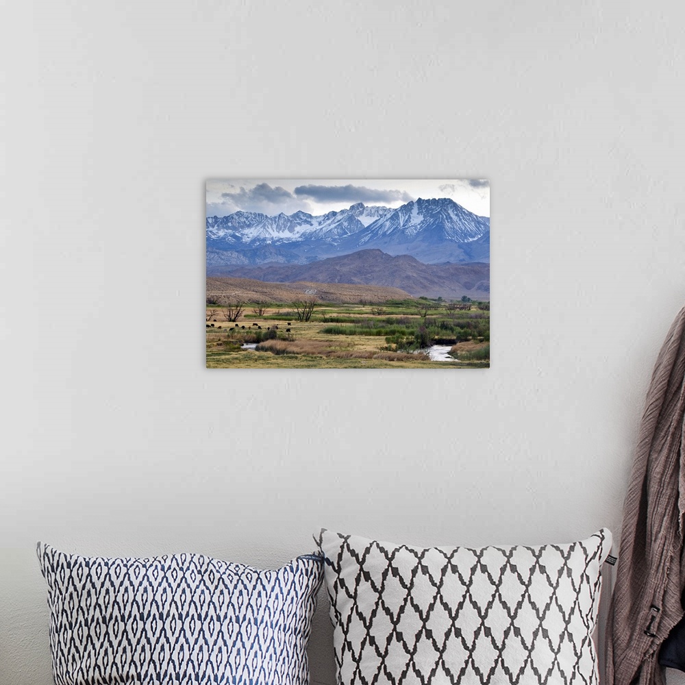 A bohemian room featuring The Eastern Sierra Nevada mountains rise above the Owens River just outside of Bishop, CA.