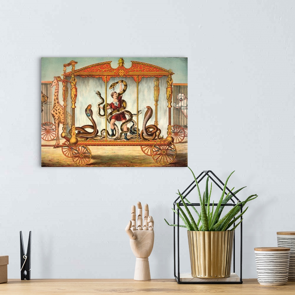 A bohemian room featuring The Snake Wagon, with a snake performer at a circus. Color lithograph by Gibson