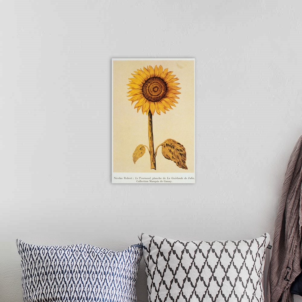 A bohemian room featuring The Sunflower By Nicolas Robert