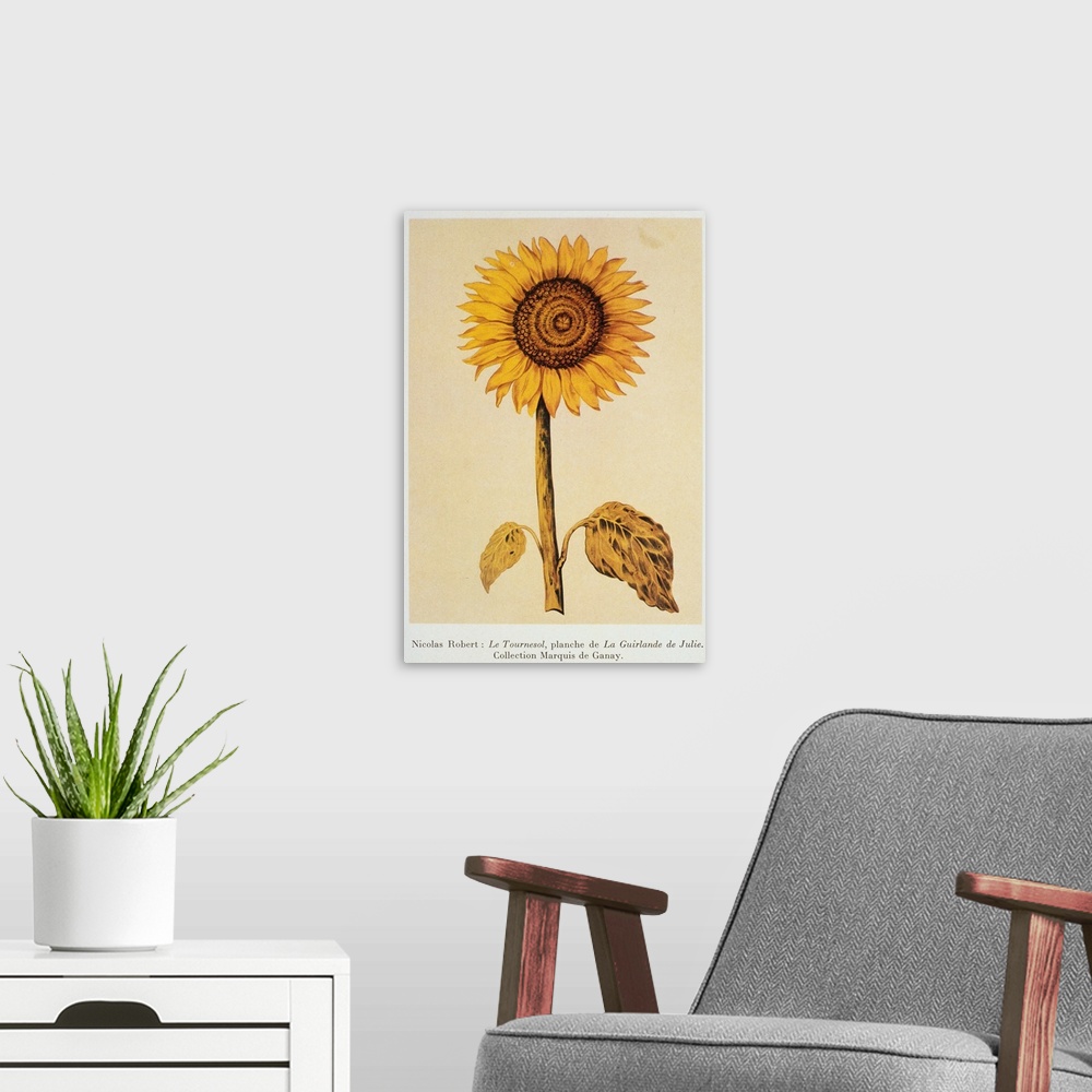 A modern room featuring The Sunflower By Nicolas Robert