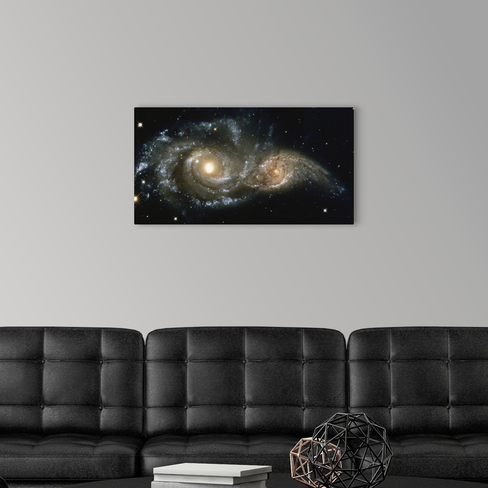 A modern room featuring These two spiral galaxies were seen near the constellation Canis Major.