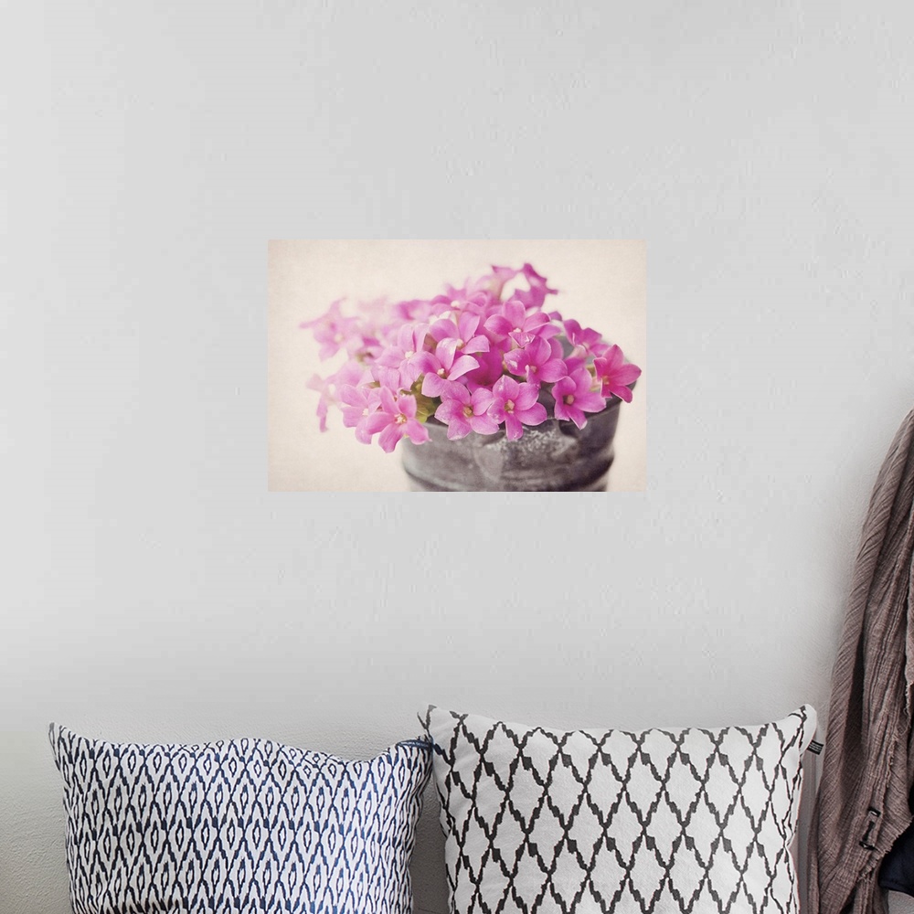 A bohemian room featuring Tiny pink flowers in small metal bucket with texture.