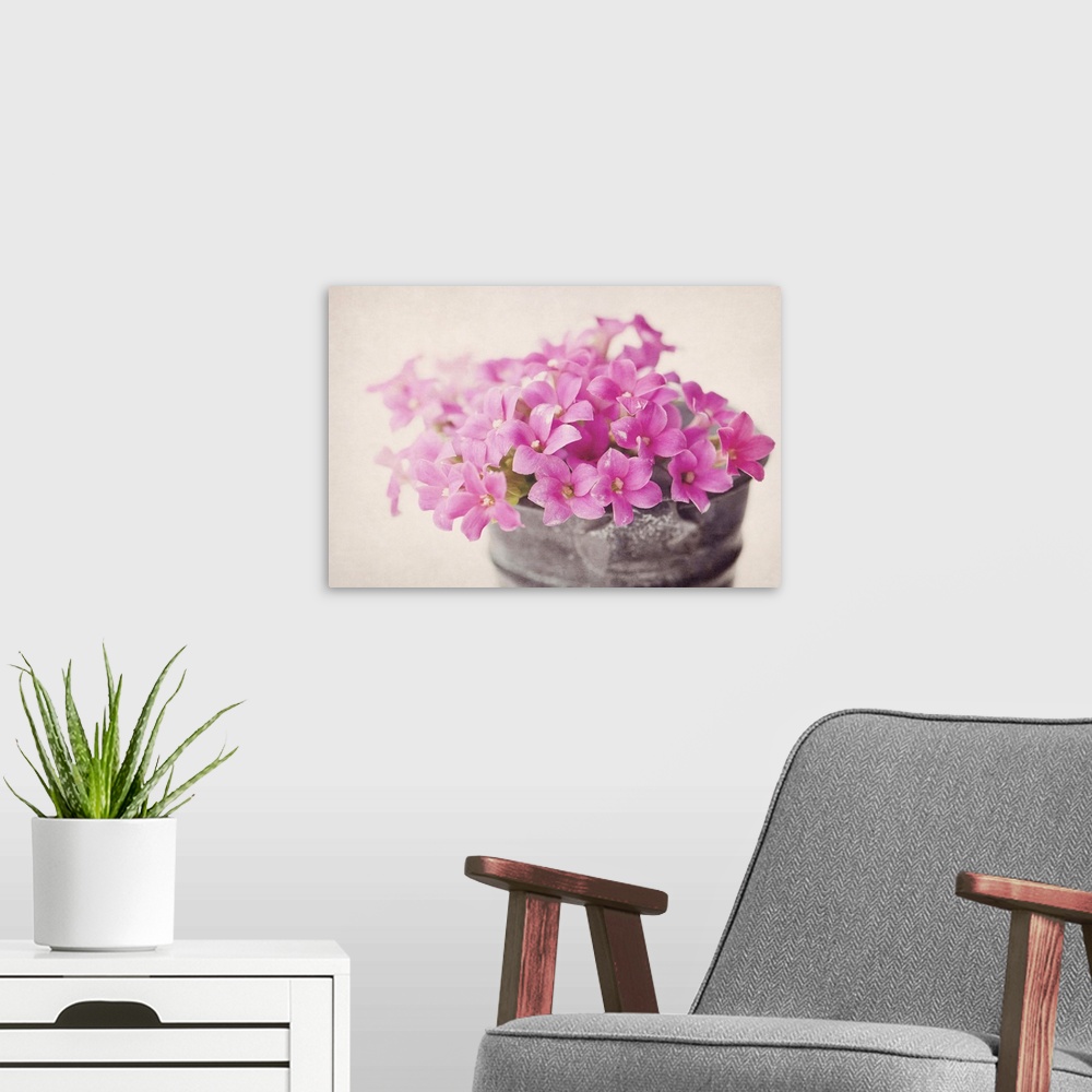A modern room featuring Tiny pink flowers in small metal bucket with texture.