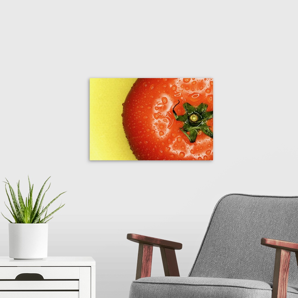 A modern room featuring Large, landscape, close up photograph of the top of a tomato covered in small drops of water, on ...