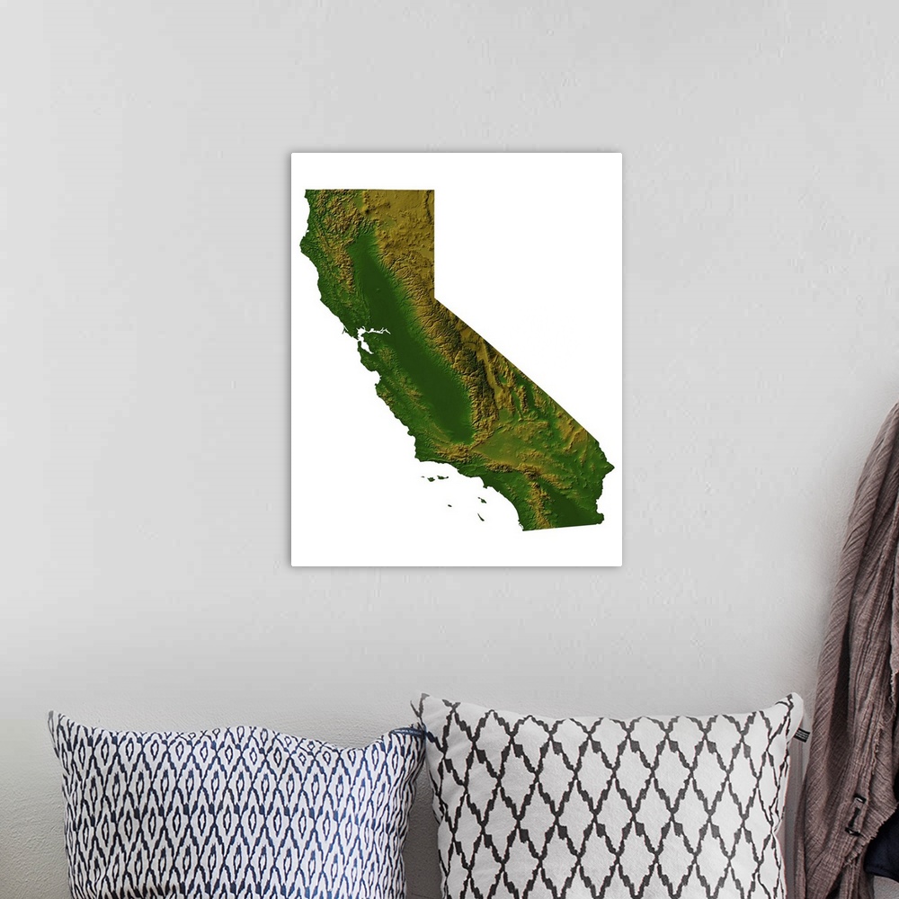 A bohemian room featuring Topographic map of California