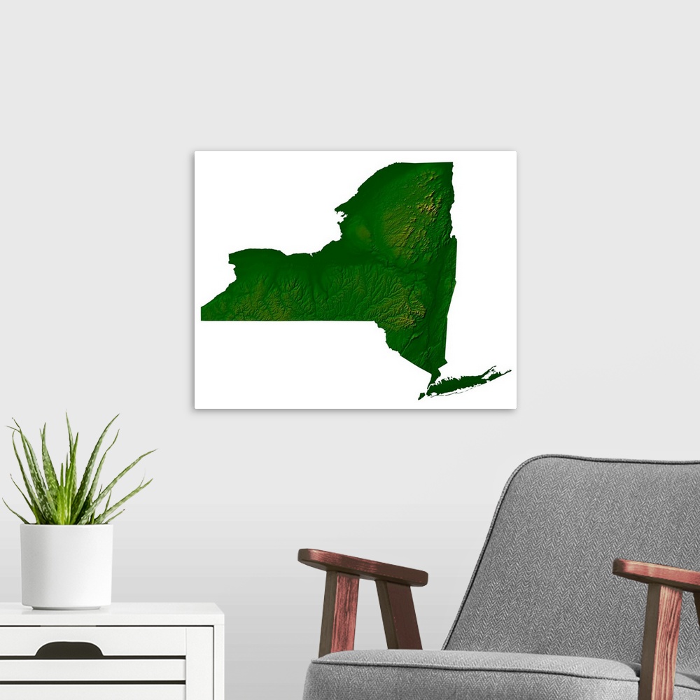 A modern room featuring Topographic map of New York State