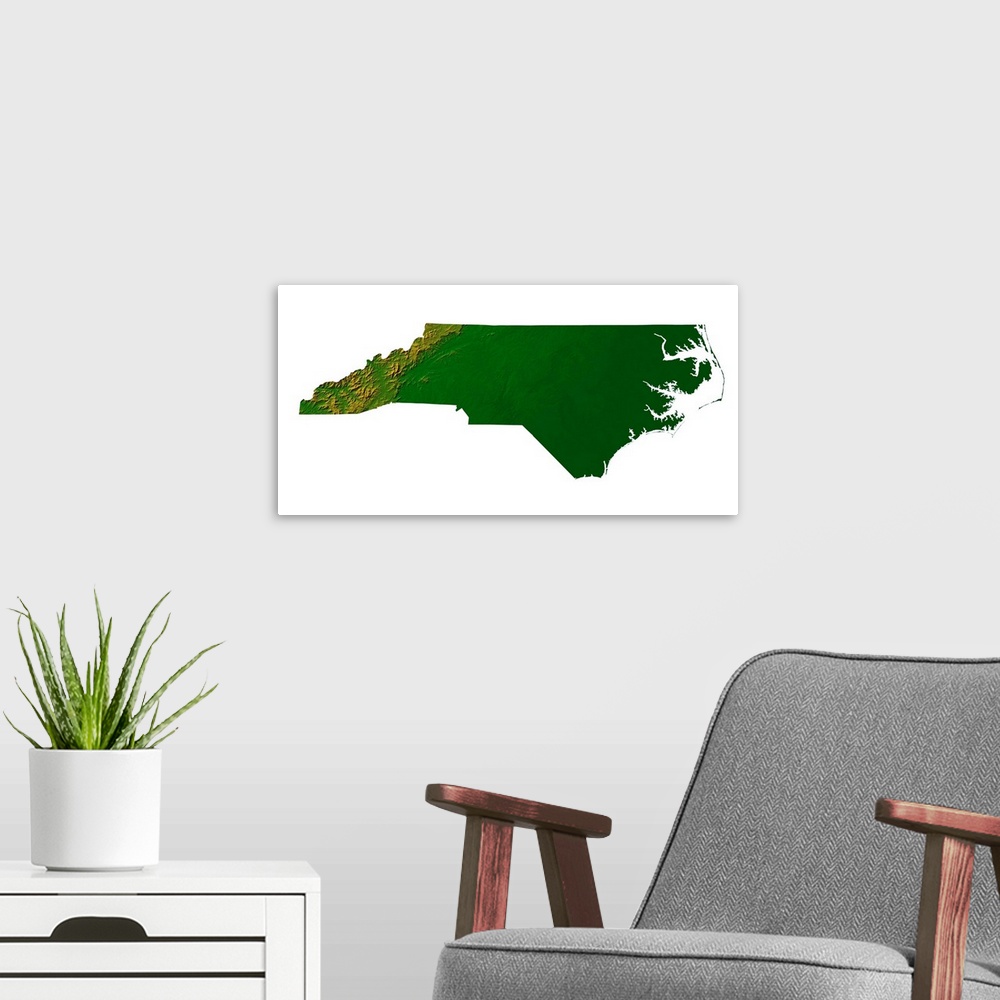 A modern room featuring Topographic map of North Carolina