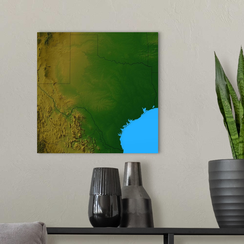 A modern room featuring Topographic map of Texas