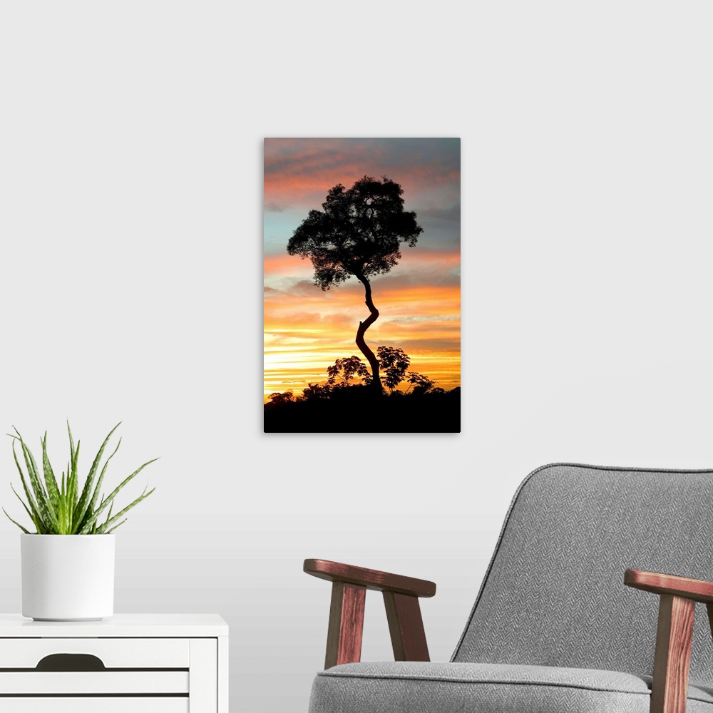 A modern room featuring A lone tree reaching to the sky at sunset along the Pantanal Highway in Brazil.