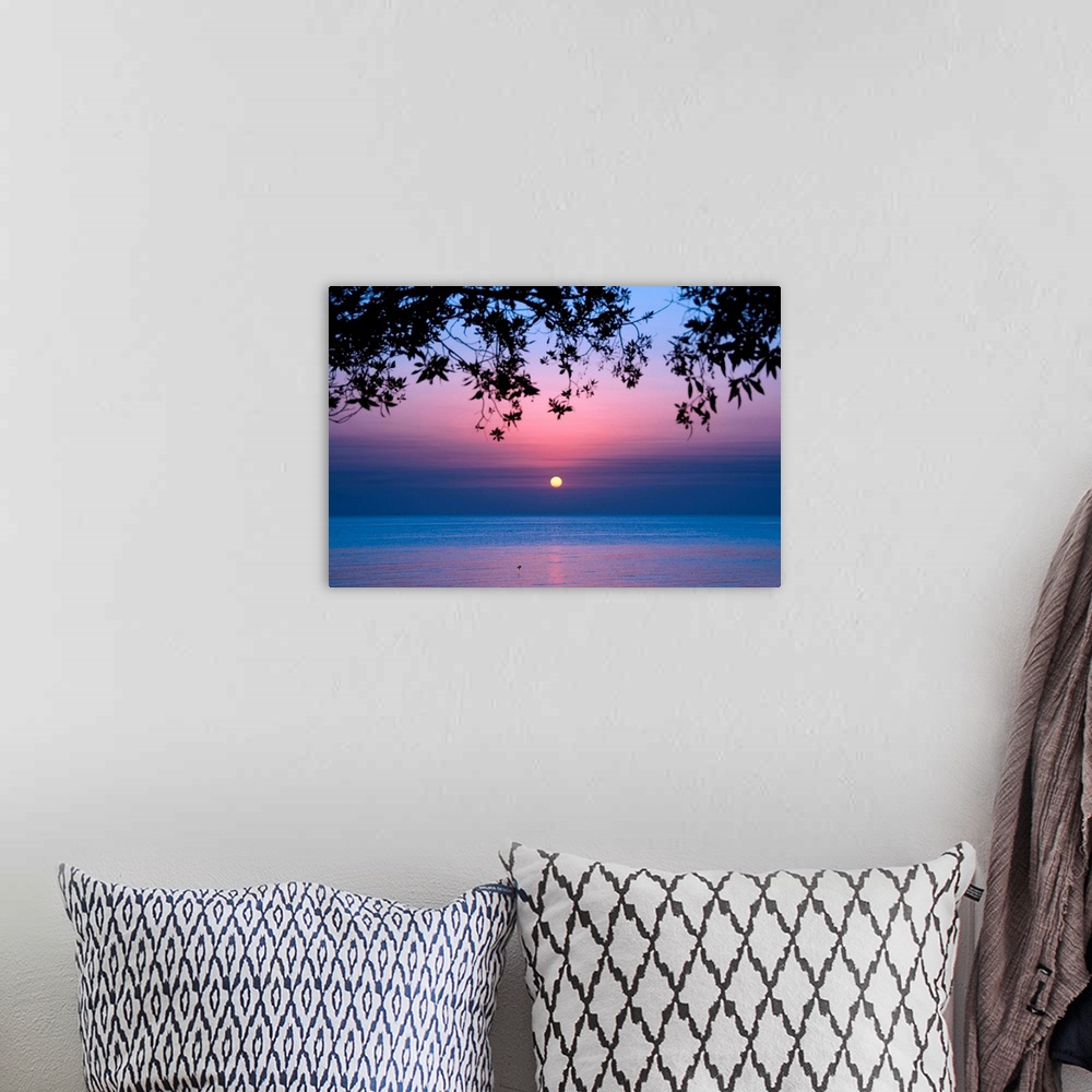 A bohemian room featuring Tree branches and sunrise over sea.