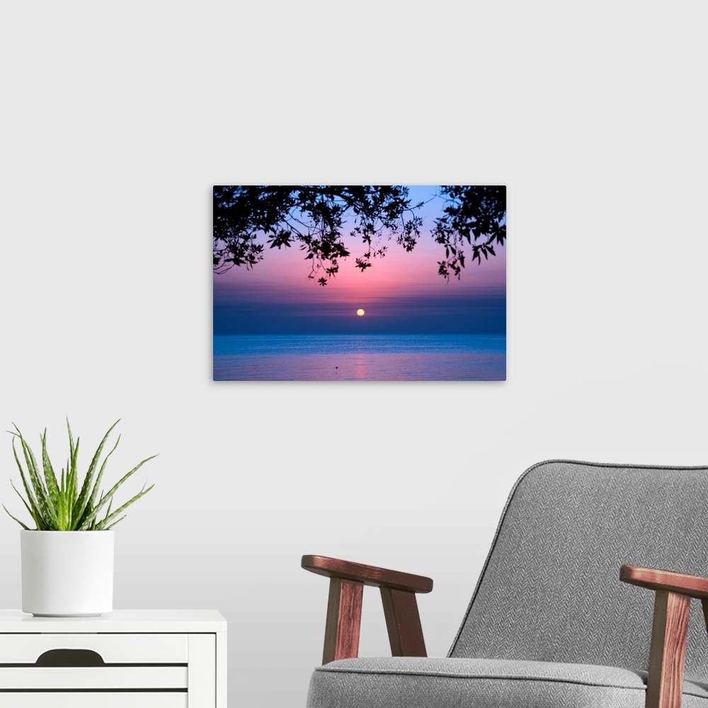 A modern room featuring Tree branches and sunrise over sea.