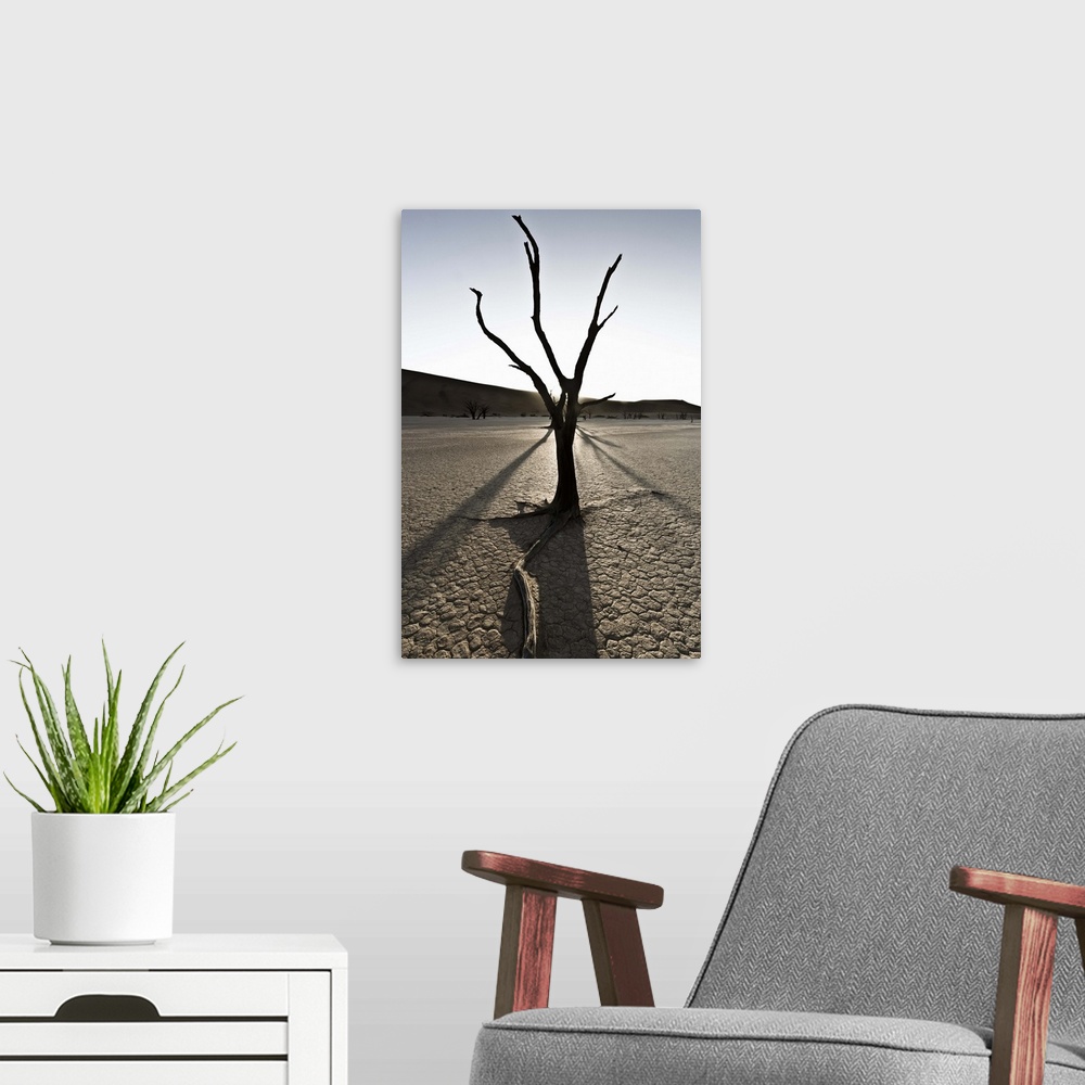A modern room featuring Namib Desert, Namibia, Dead Flei, Sossusvlei