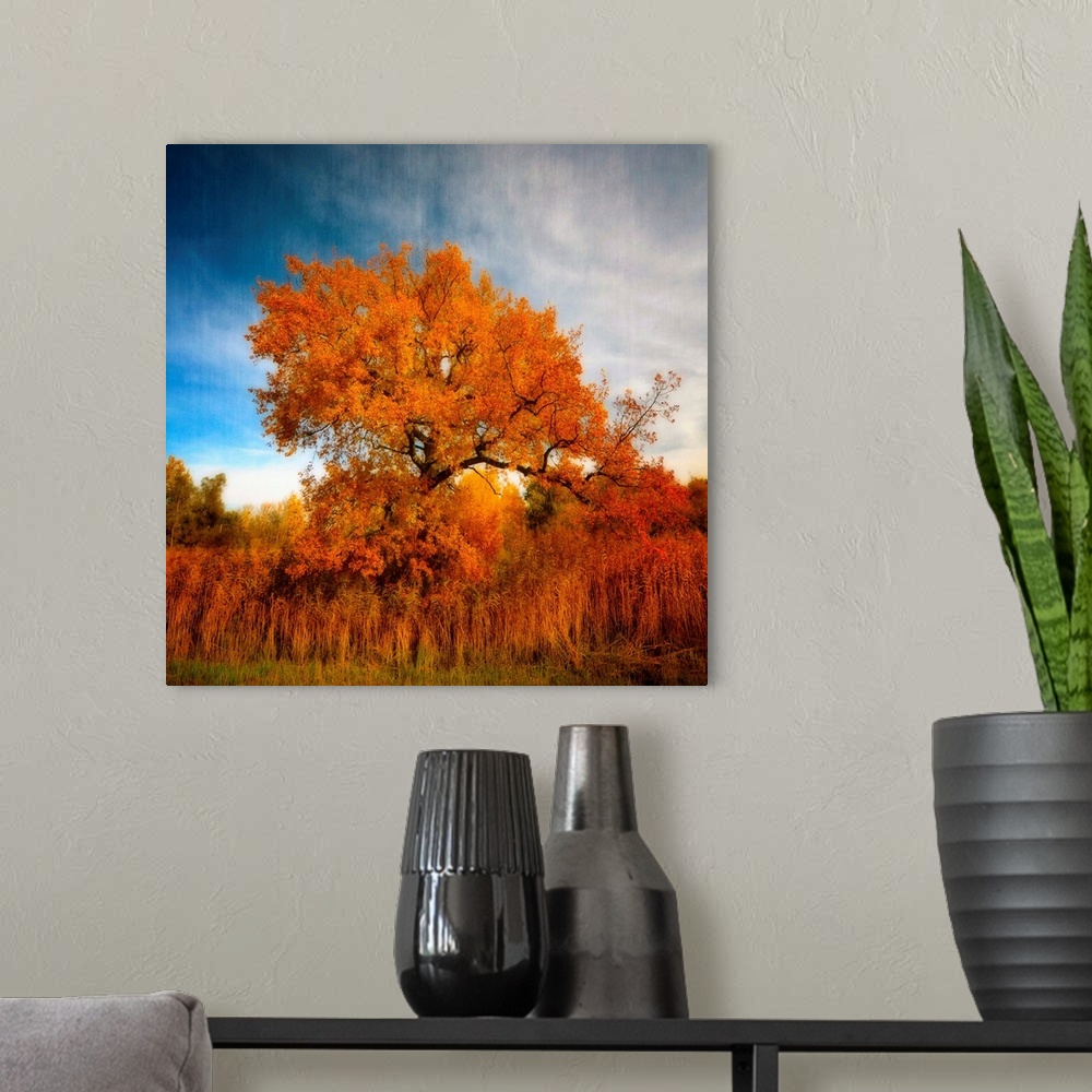 A modern room featuring Tree in Autumn.