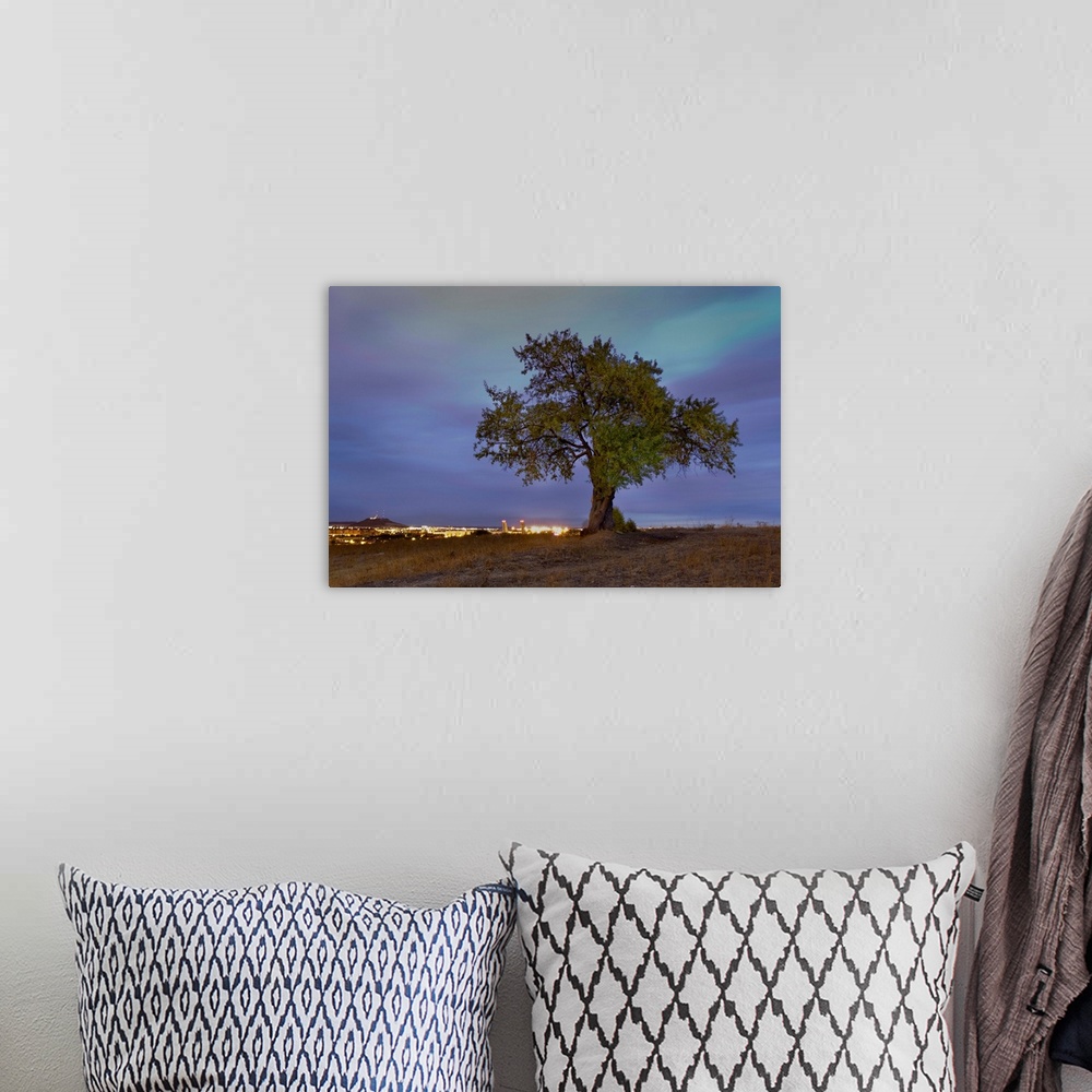 A bohemian room featuring Tree outside a city in Spain at dusk