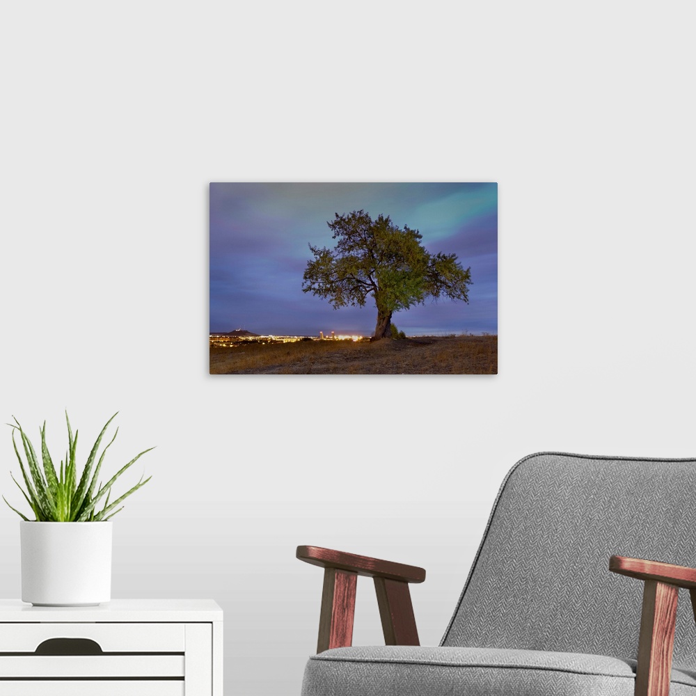 A modern room featuring Tree outside a city in Spain at dusk