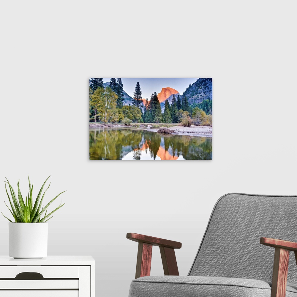 A modern room featuring Trees and mountain reflection in river.