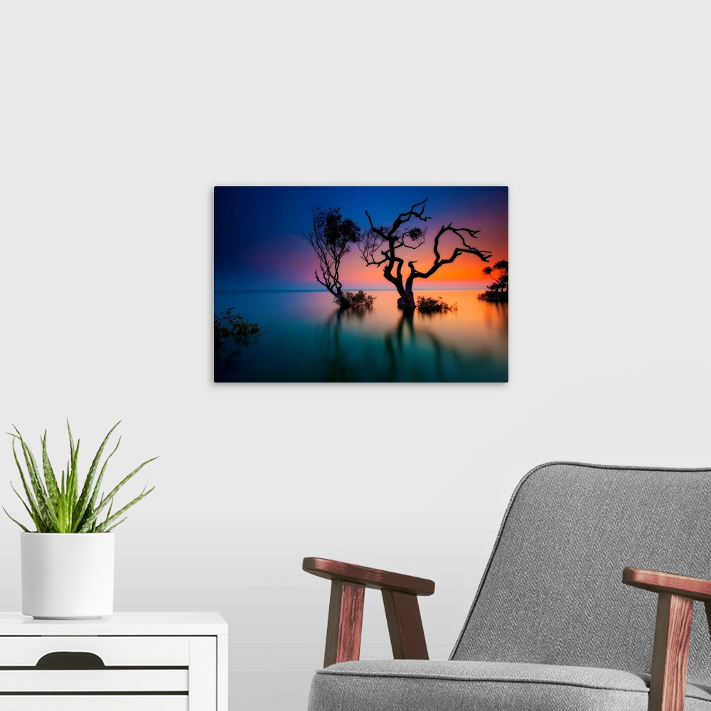 A modern room featuring Silhouette of two crooked, twisted trees submerged in water, as the sunlight glows from the edge ...