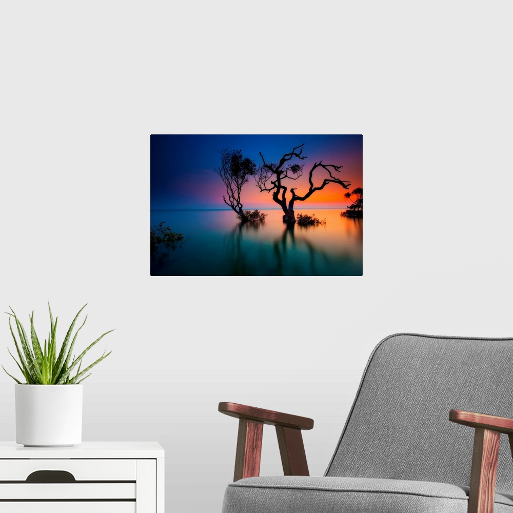 A modern room featuring Silhouette of two crooked, twisted trees submerged in water, as the sunlight glows from the edge ...