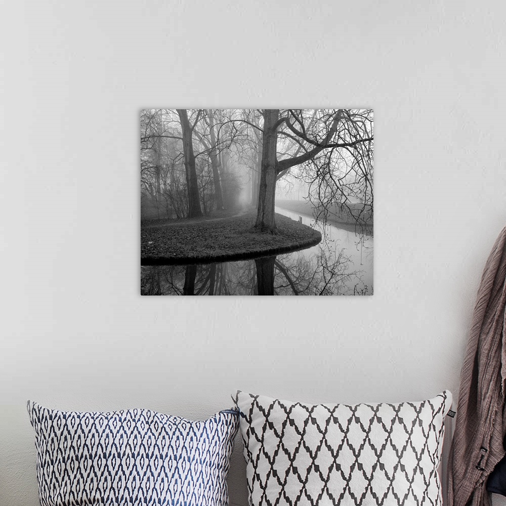 A bohemian room featuring Trees in fog.