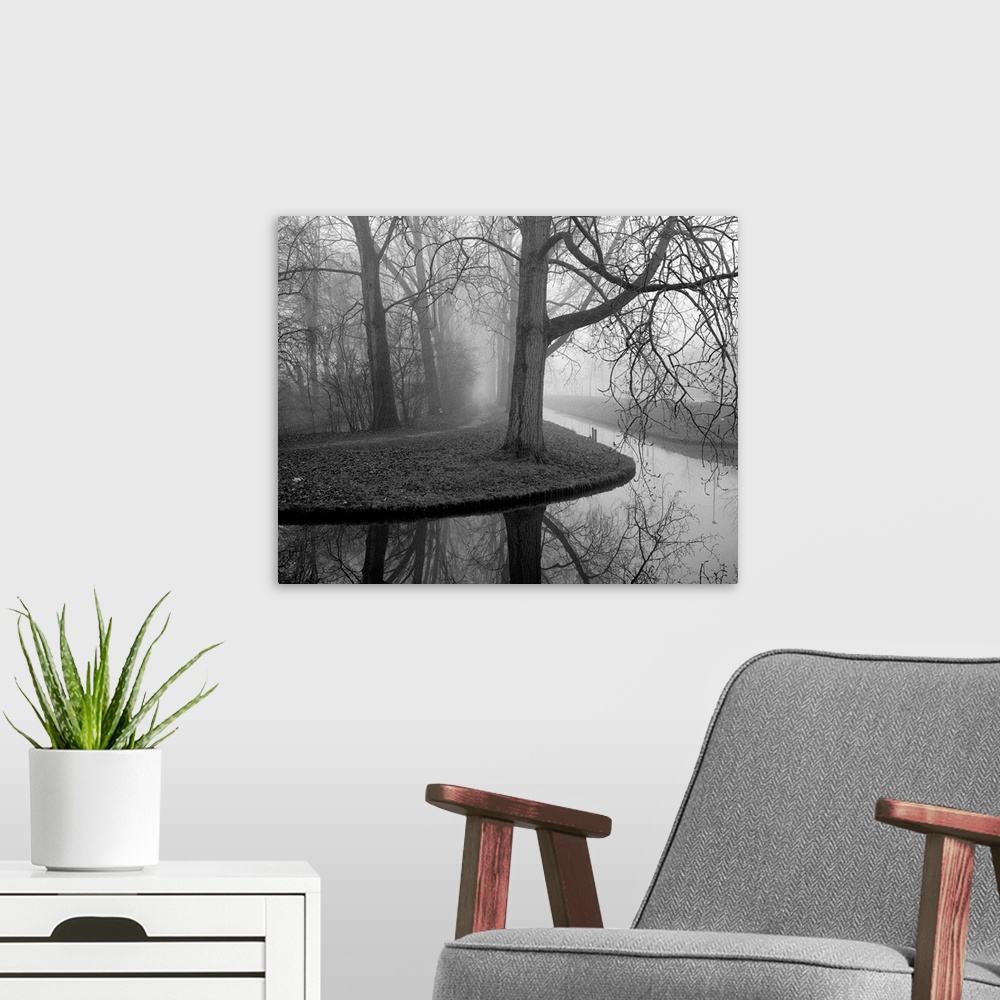 A modern room featuring Trees in fog.