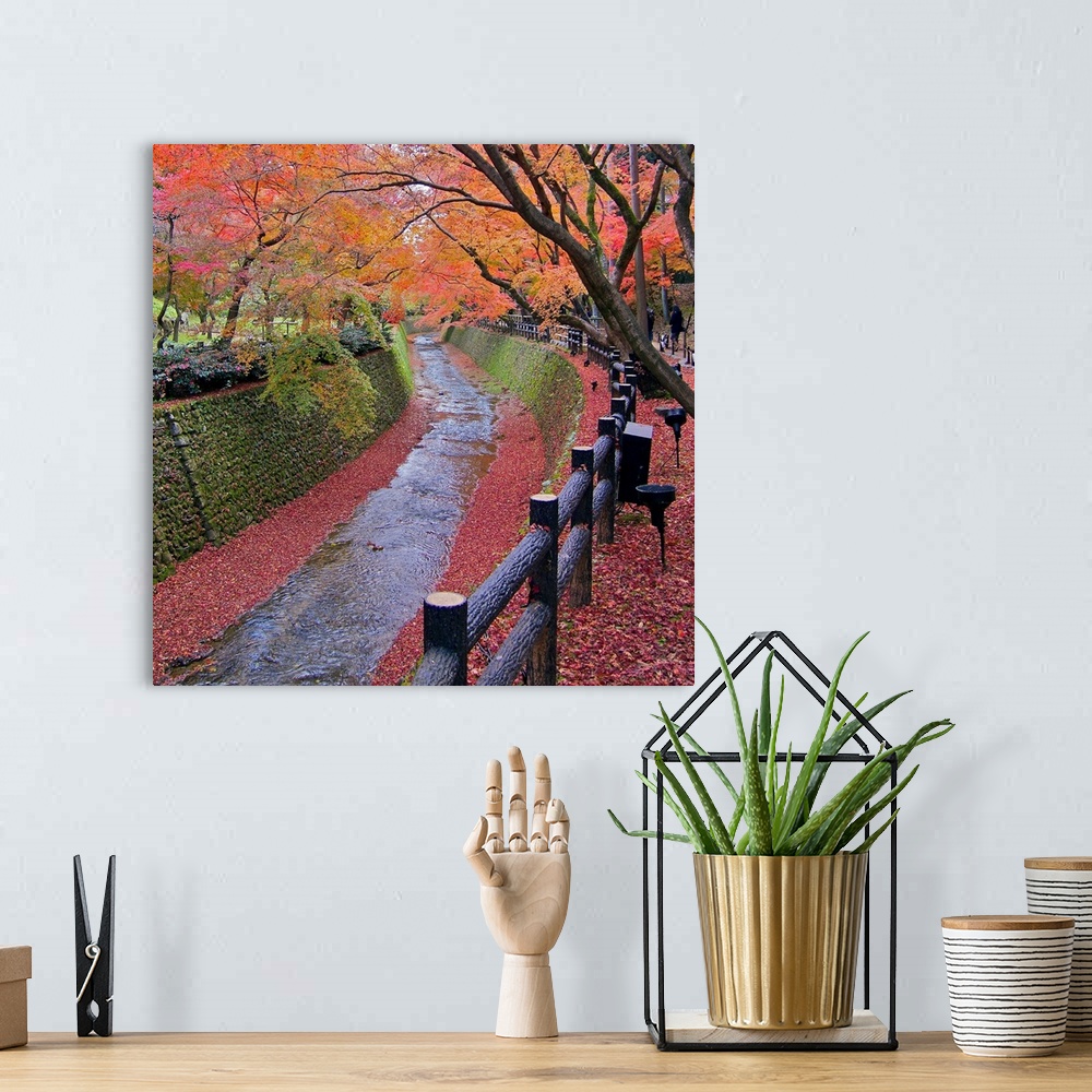 A bohemian room featuring Trees with autumn colors along bending river in Kyoto with red leaves scattered along riverside.