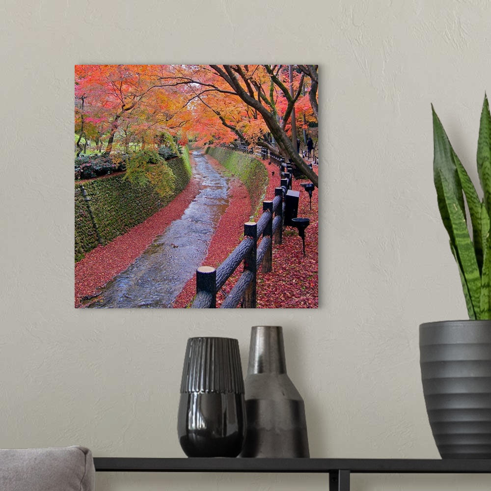 A modern room featuring Trees with autumn colors along bending river in Kyoto with red leaves scattered along riverside.