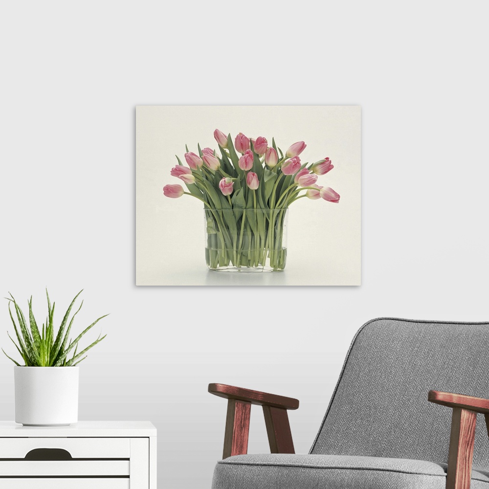 A modern room featuring Tulips