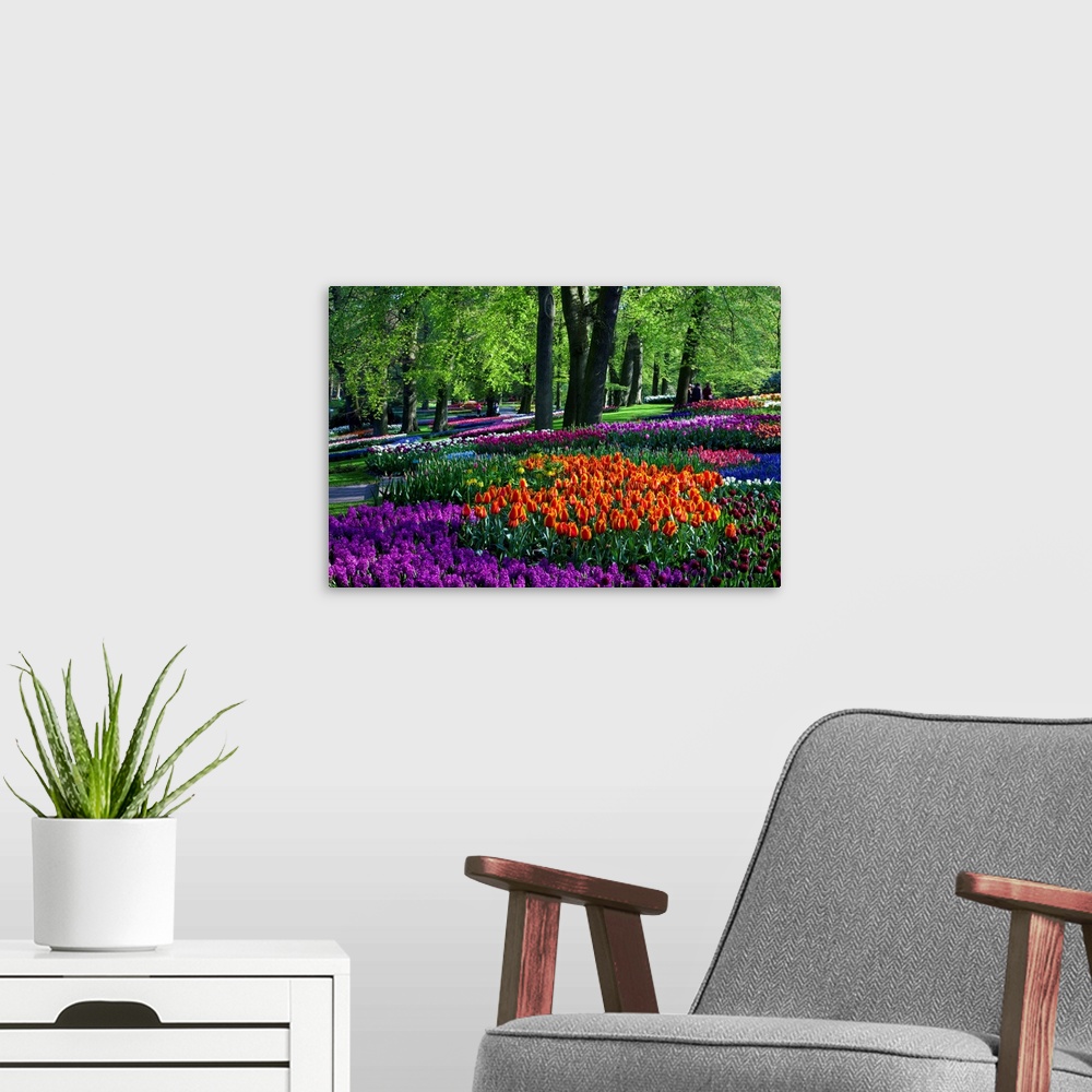 A modern room featuring Tulips And Hyacinth In Keukenhof Gardens