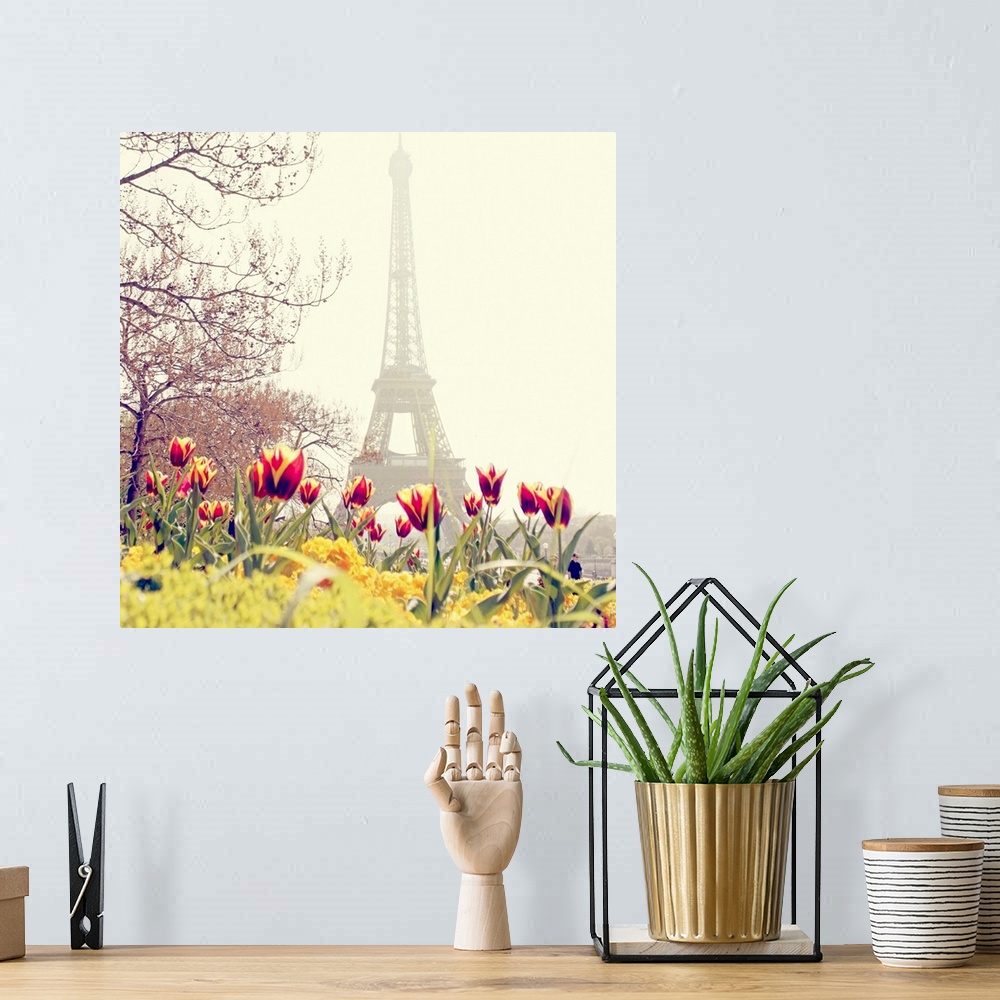 A bohemian room featuring Low angle photograph of the Eiffel Tower in the background with tulip blossoms and trees in the f...
