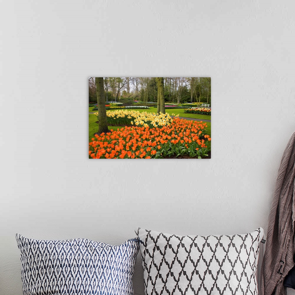 A bohemian room featuring Tulips In Keukenhof Gardens