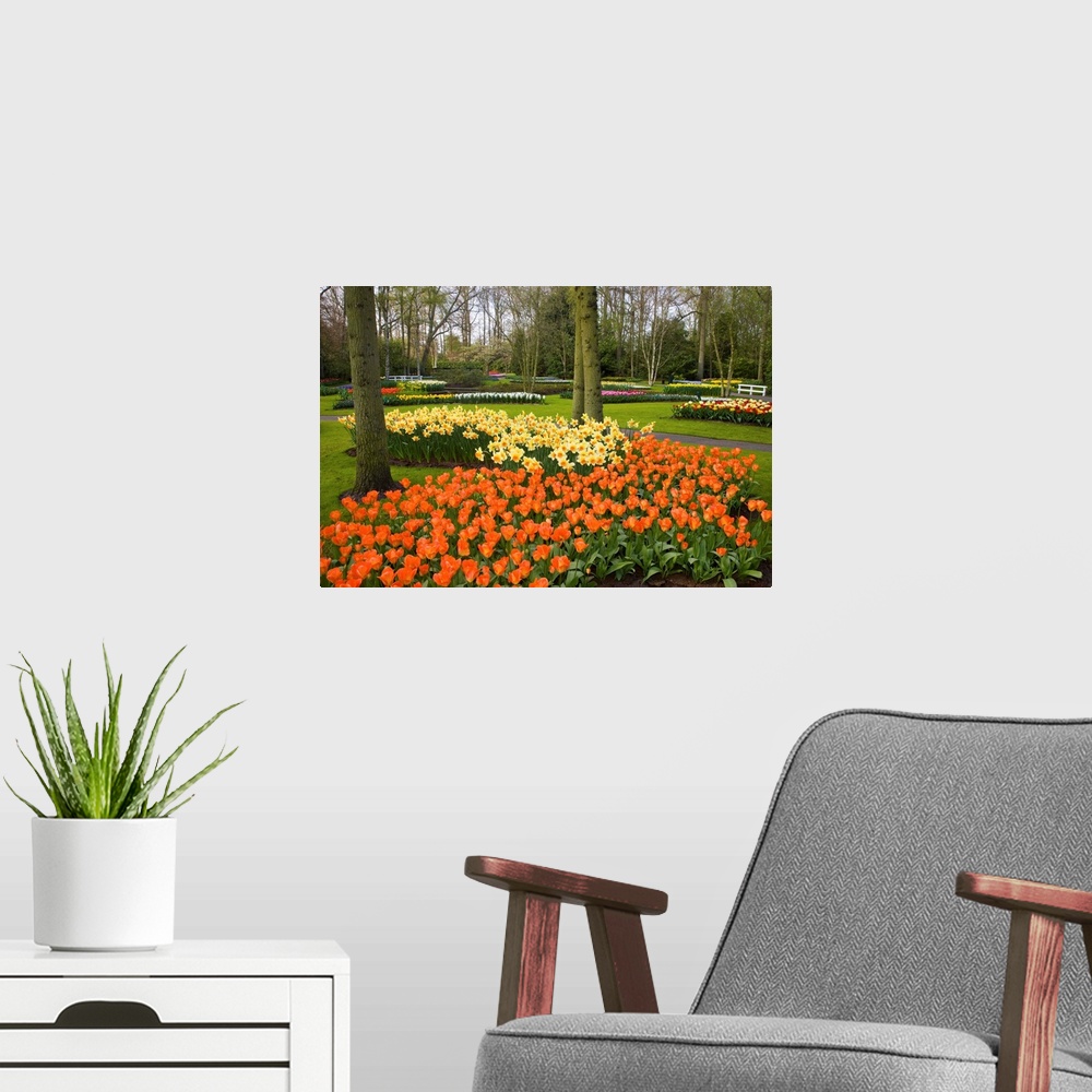 A modern room featuring Tulips In Keukenhof Gardens